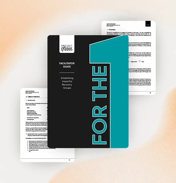 Bridge platform: facilitator guide document view.