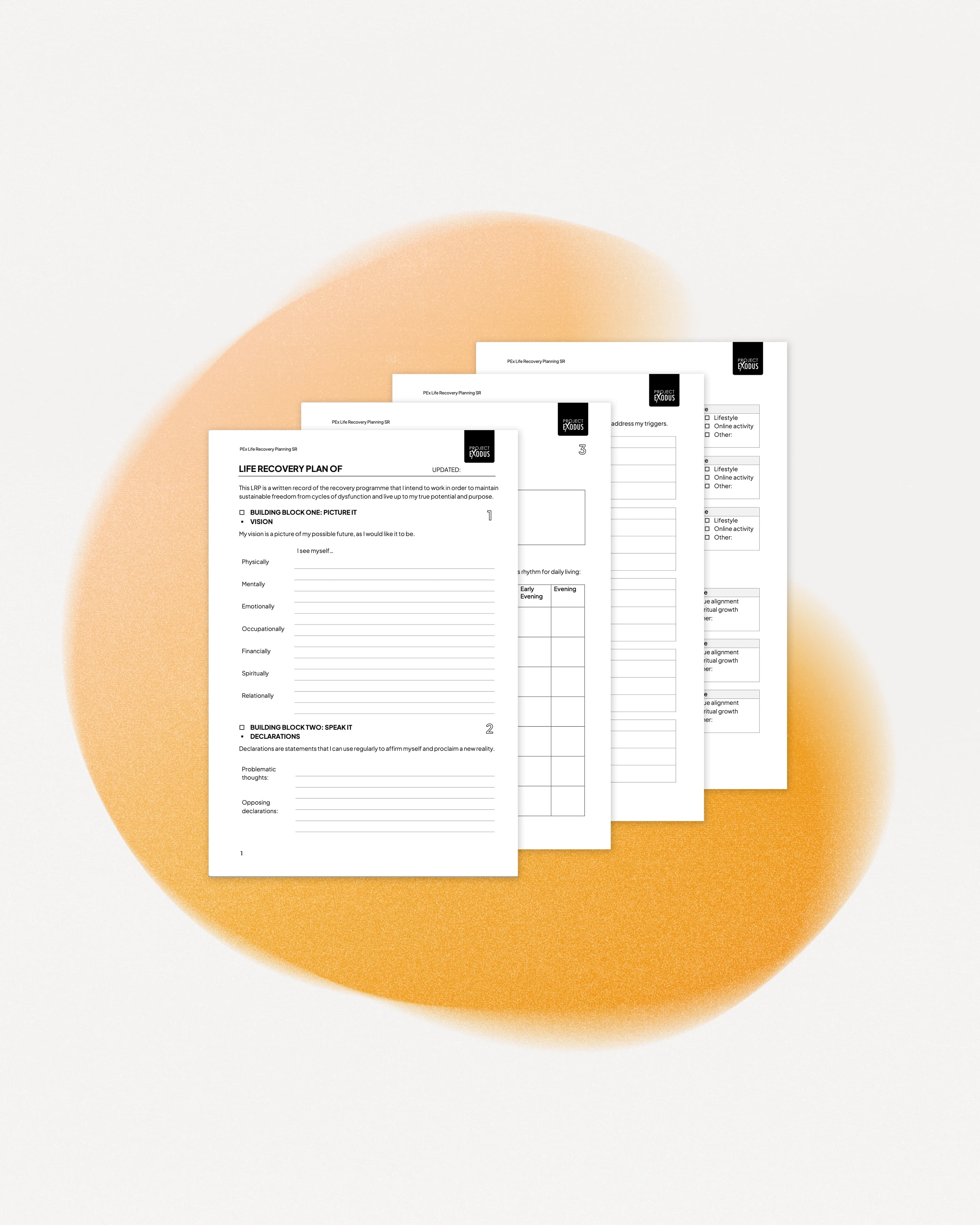 Supporter Life Recovery Plan Template